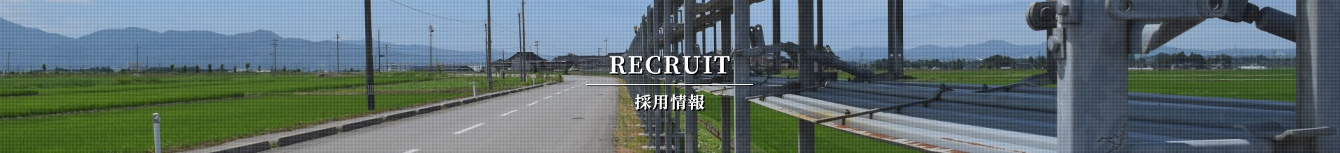 採用情報